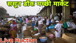 Video Download