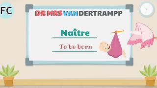 DR AND MS VANDERTRAMP - Level 2 - French Grammar