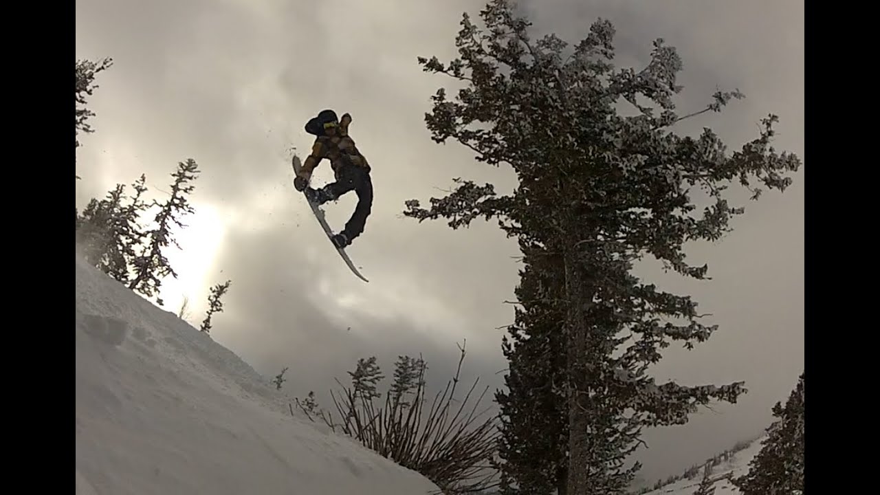 BEAR PACKS ATTACKS 2012 YouTube