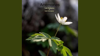 Anemones