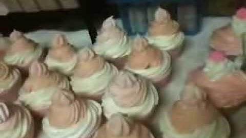 My drying rack where my soap rest