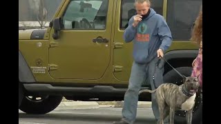 Ethan the Dog's official adoption ceremony at Kentucky Humane Society - WDRB Positive