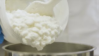 How to Smooth Cottage Cheese