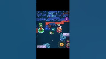 PIPER...#subscribe #like #shorts