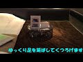 ホテル ドルフィン