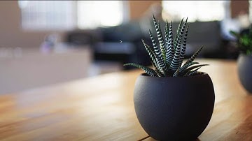 Creating and Editing Pages on WordPress