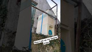 A swarm in May……..how I make my Swarm traps #bees #beekeeping #swarming #ballyblackfarm