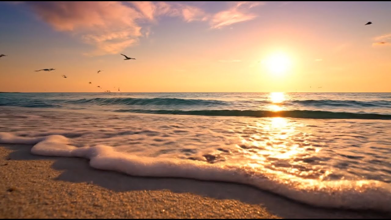 Beach images - 30 minutes relaxing compilation