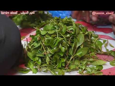 ديس با ستو اليمنية عربي