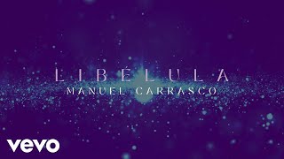 Libélula (Canción Original del Documental "Mis Ganas Ganan" / Lyric Video) image