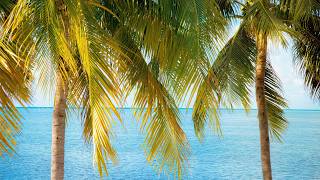 Summer Bossa Nova Music - Upbeat Jazz For Good Moods