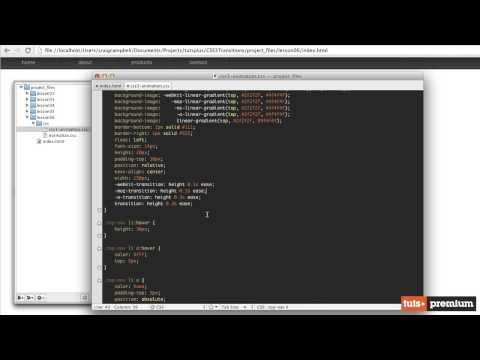 06  Transition Shorthand