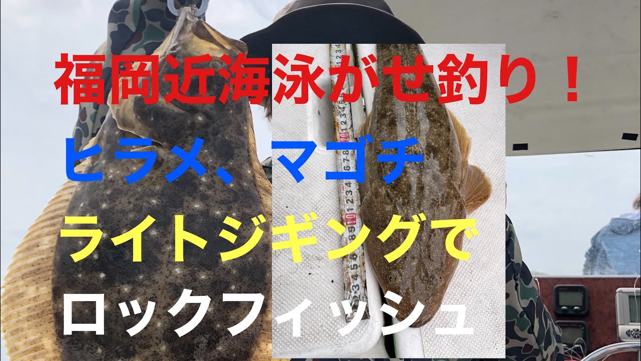 福岡県近海でライトジギング 泳がせ釣りでロックフィッシュ ヒラメ マゴチ 山陰釣り新報
