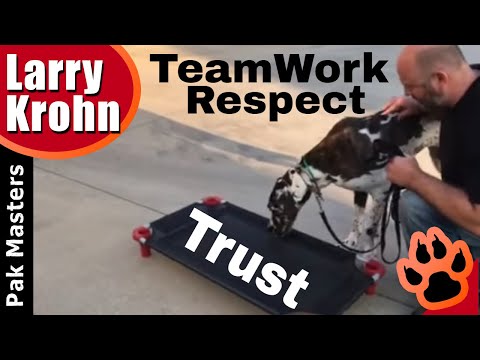 Video thumbnail: Dog training through trust, respect, patience, and teamwork