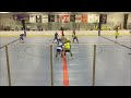 NBHL Buffalo Tier 2 Semis: Buffalo Herd vs. Grim City Reapers Game 2 Highlights (08/02/2026)