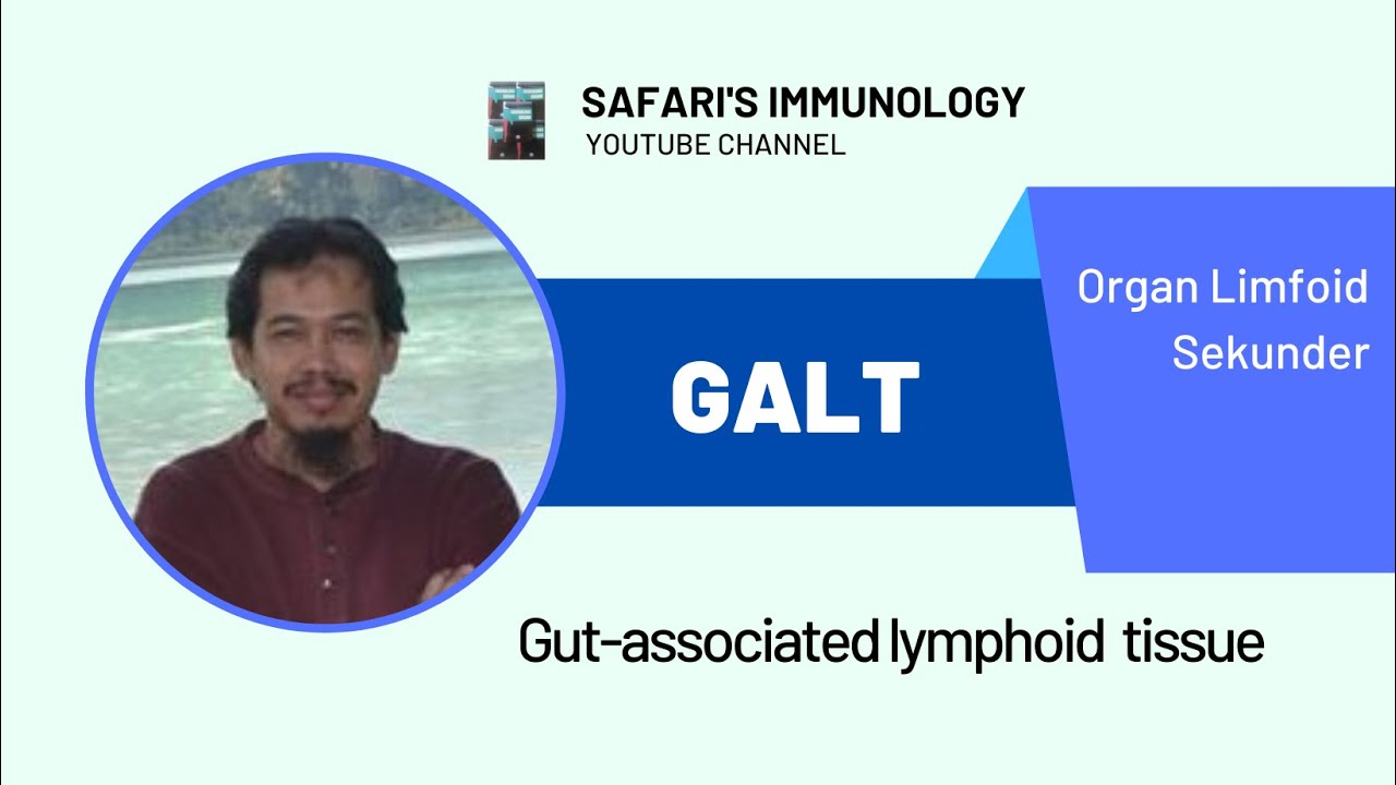 GALT (GUT-ASSOCIATED LYMPHOID TISSUE)
