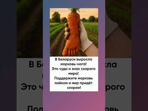 Выросла морковь-нога. Это знак, что скоро будет мир!