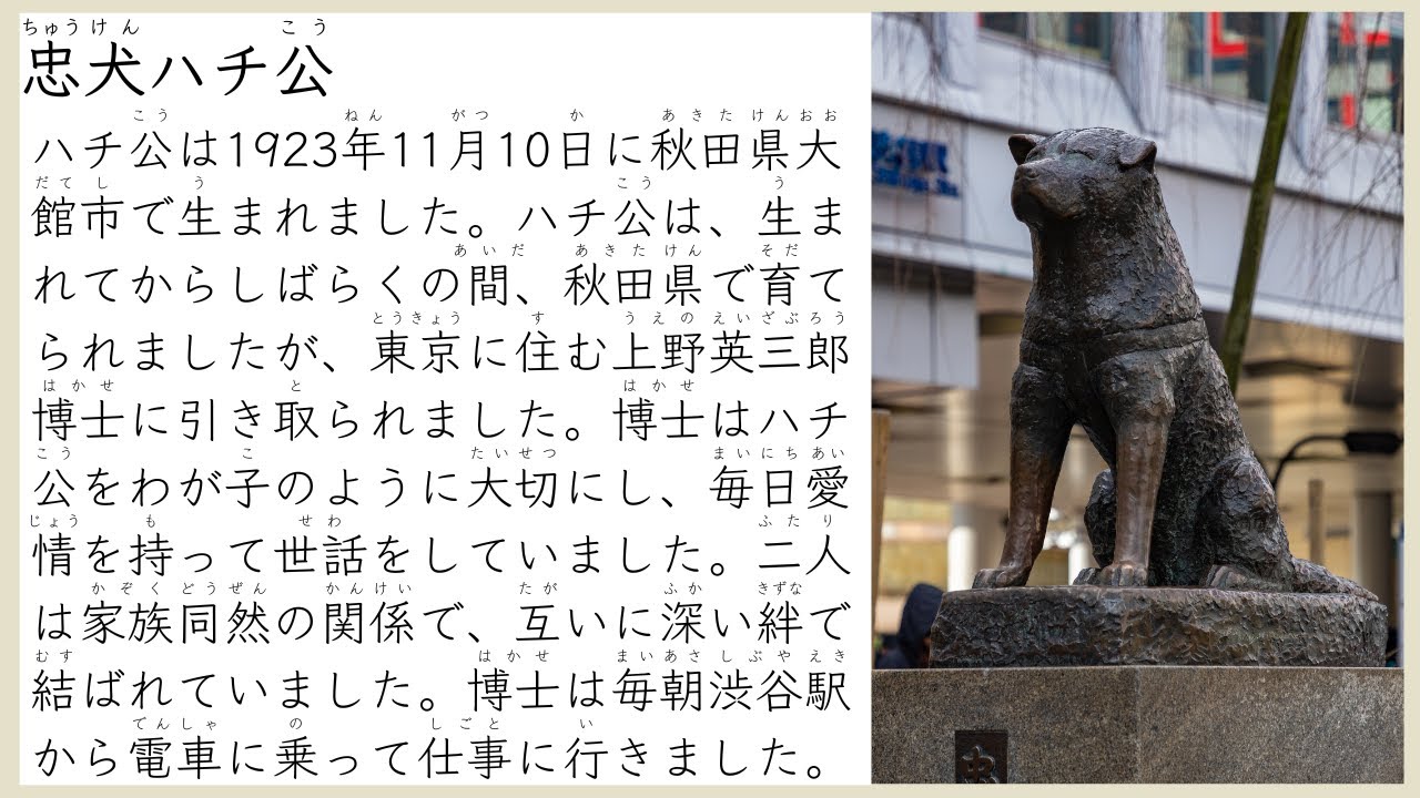 Simple Japanese Podcast 忠犬ハチ公 The Story of Hachiko For