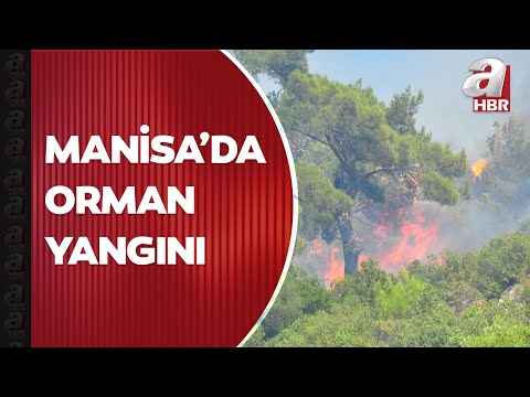 Manisa'nın Saruhanlı ilçesinde orman yangını: Ekiplerin müdahalesi sürüyor | A Haber