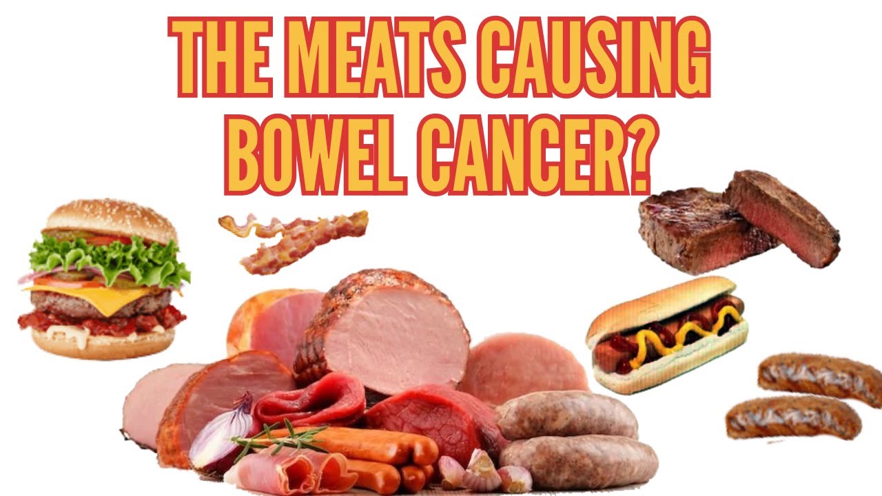 Do RED Meat and PROCESSED Meat Cause CANCER of the Bowel, Stomach