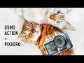 OSMO Action после переделки. Объектив PIXAERO 3.4 мм