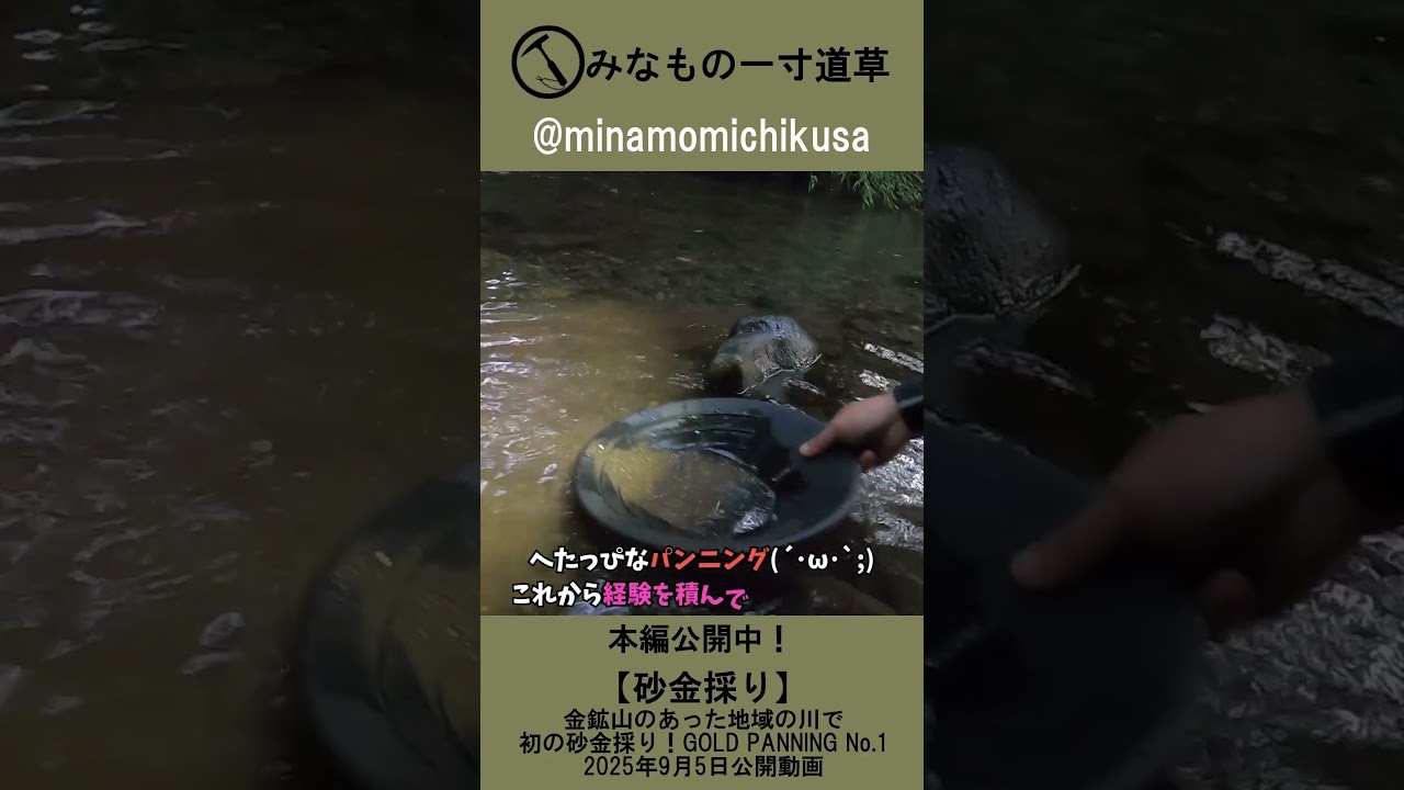 砂白金　レア　最上川支流一級河川採取　管理No.70801 最上川上流一級河川の天然砂金 0、25g 管理No.60906 - メルカリ