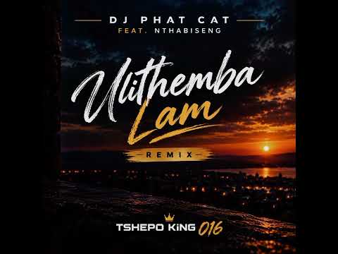 Dj Phat Cat (feat. Nthabiseng) - Ulithemba Lam (Tshepo King 016 Remix) 