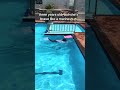Let your kids have no limits in the pool by learning how to swim even in the water #learntoswim ￼