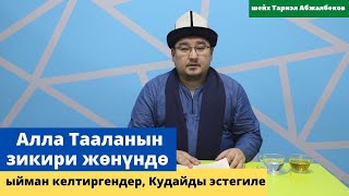 Алла Тааланын зикири жѳнүндѳ | ыйман келтиргендер, Кудайды эстегиле | шейх Тариэл Абжалбеков