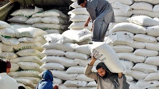Flour price hits record high of Rs2,700 per 20kg in Swat