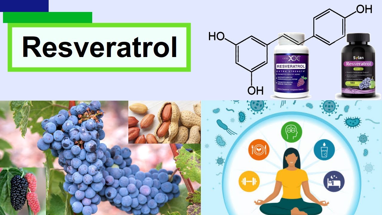 resveratrol YouTube