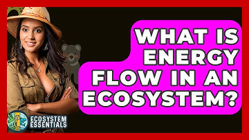 What Is Energy Flow In An Ecosystem? - Ecosystem Essentials