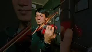 Download Lagu Qalbi Fil Madinah(Maherzein,Harris J)- versi Biola #violin #cover #Qalbifilmadinah MP3