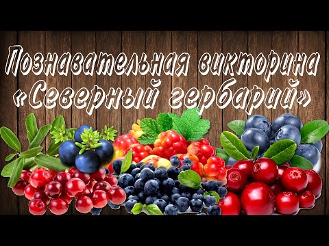 Познавательная викторина - «Северный гербарий»
