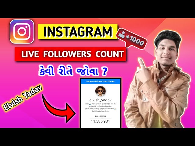 Instagram Live Follovers Counts