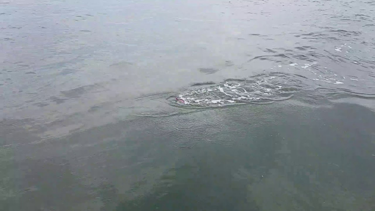 Shimano POP ORCA levantando água