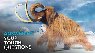 What Does the Bible Say About the ICE AGE?