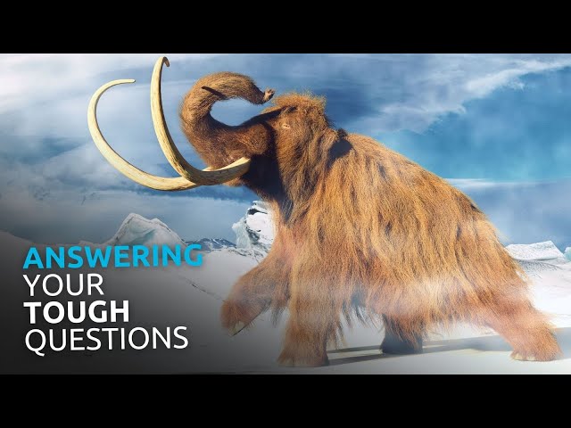 What Does the Bible Say About the ICE AGE? class=