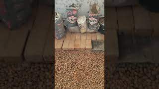 Проливка керамзита не цементным молочком а раствором цемента в качественной пропорции.
