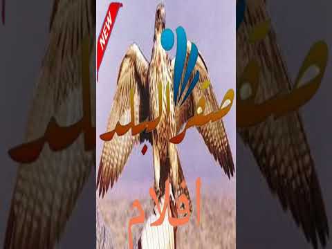 اضبط تردد قناة صدى البلد دراما الجديد على نايل سات - تردد قناة جدبدة قناة صقر البلد أفلام 2022 على النايل سات