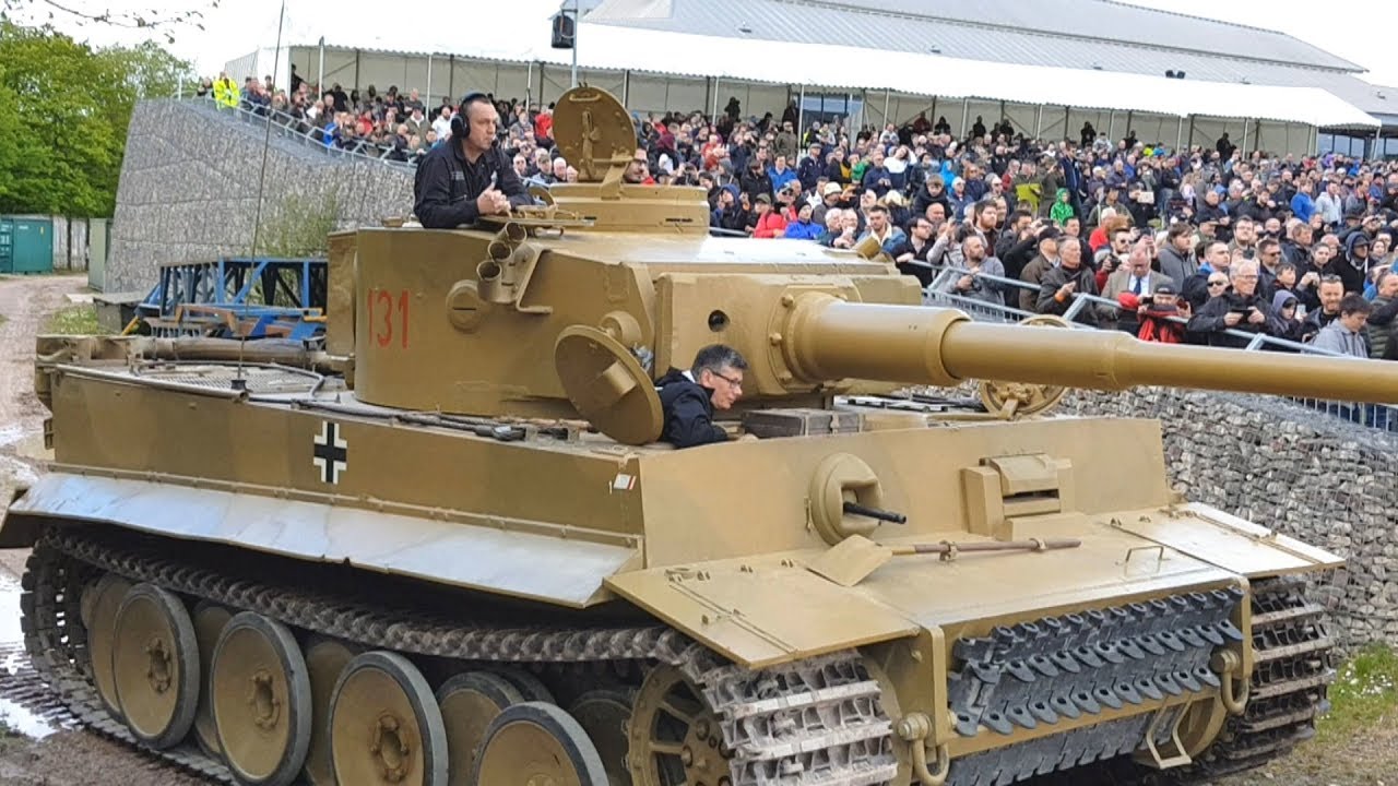 The Last Tiger - Tiger Day 11