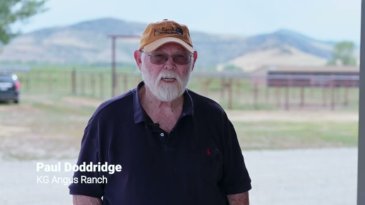 Montana Angus Tour 2025 - KG Ranch