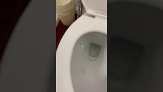 What to do if you have no toilet paper