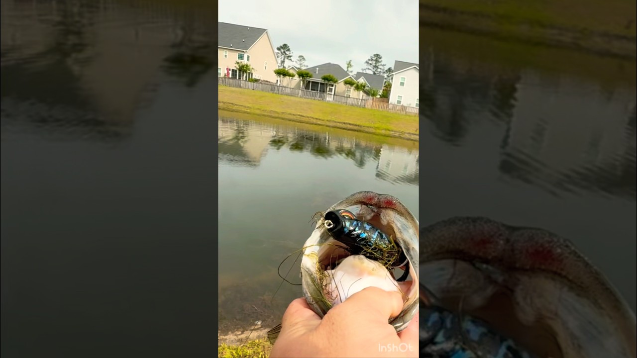 ‪@6thsensefishing‬