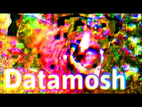 Datamosh Dogs