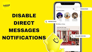 How To Disable Direct Messages Notifications On Lemon8 App