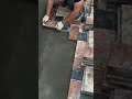 paving installation process in the yard #construction #paving #popular #viralshorts #shorts