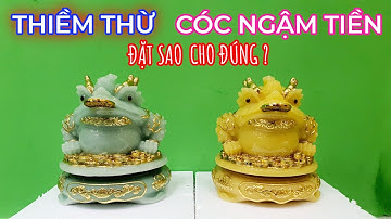 Thiềm Thừ Đá - Cóc Ngậm Tiền - Đặt sao cho đúng? / Tâm Phúc Phú - tamphucphu.com