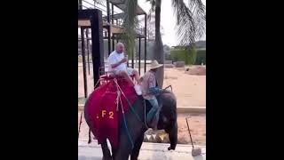 Fat Joe Flexing In Thailand