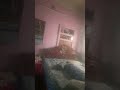 light is corrupted